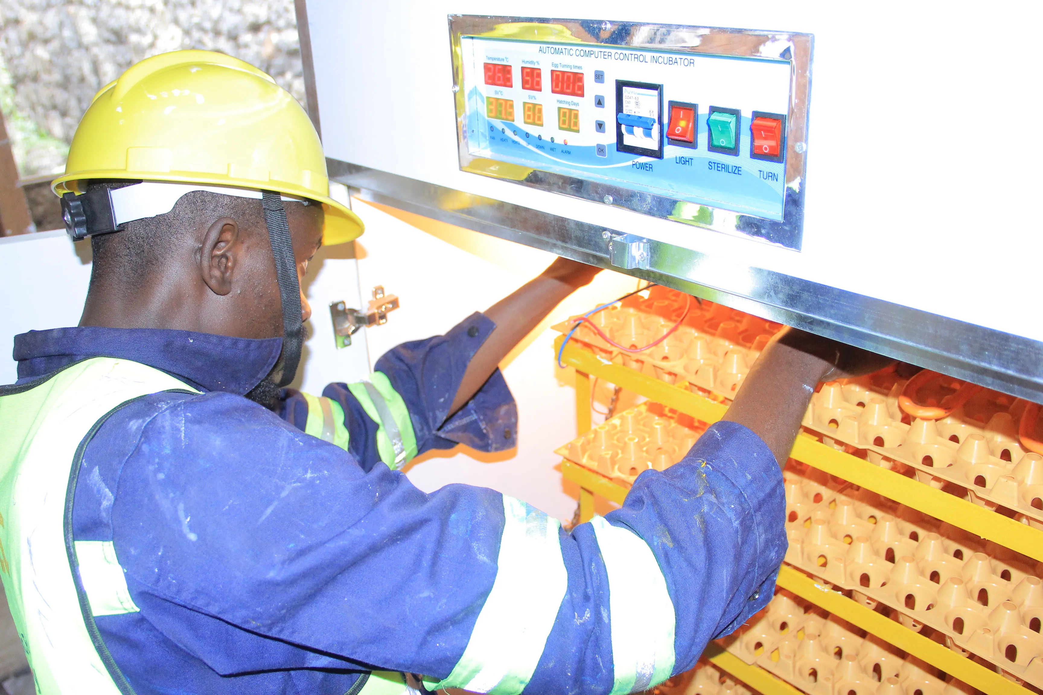 Couveuse des oeufs Elttec-Africa