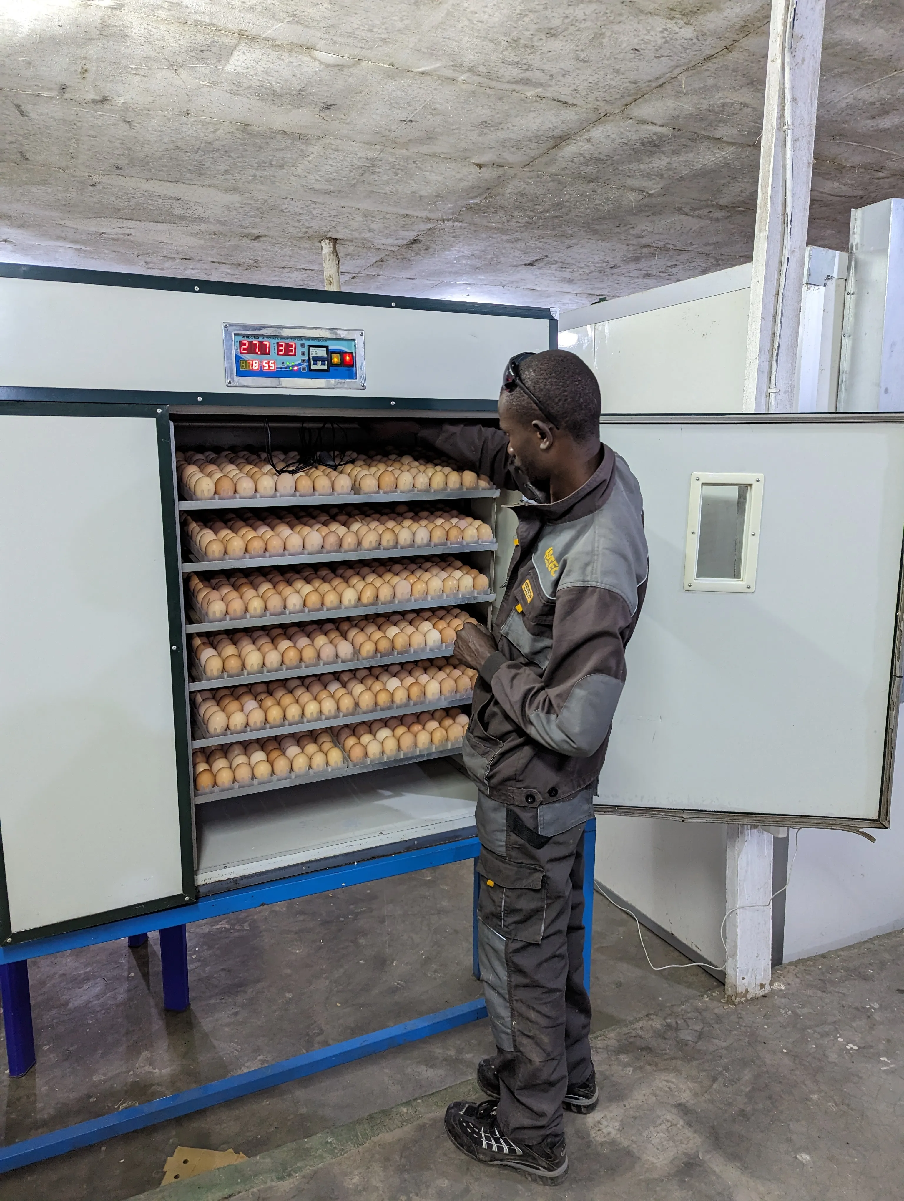 Couveuse des oeufs Elttec-Africa